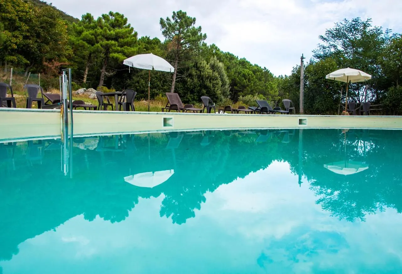 Farm stay Agriturismo Il Riccio Villa Buti