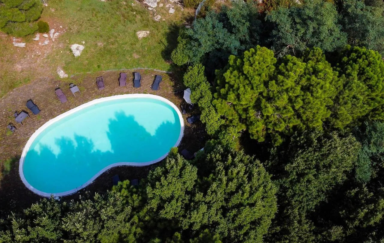 Agriturismo Il Riccio Villa Buti