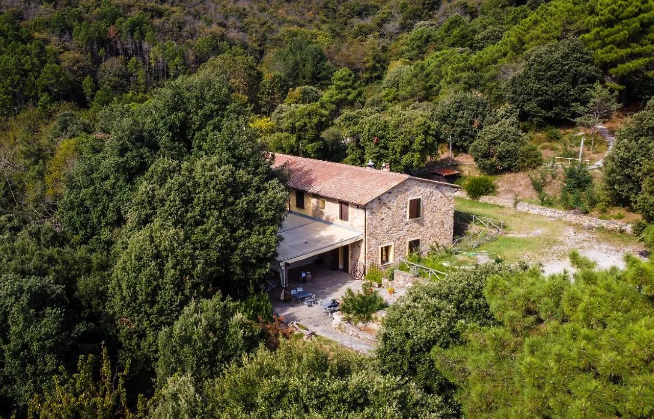 Farm stay Agriturismo Il Riccio Villa Buti Italy