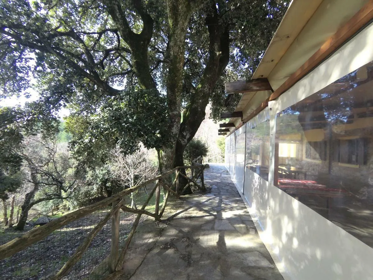 Alloggio per agriturismo Agriturismo IL RICCIO Villa Buti